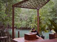 ที่พักติดริมคลอง และป่าโกงกางบนเกาะกูด