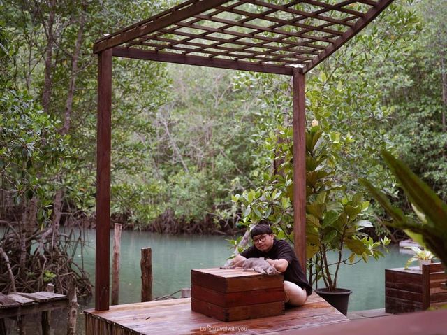 ที่พักติดริมคลอง และป่าโกงกางบนเกาะกูด