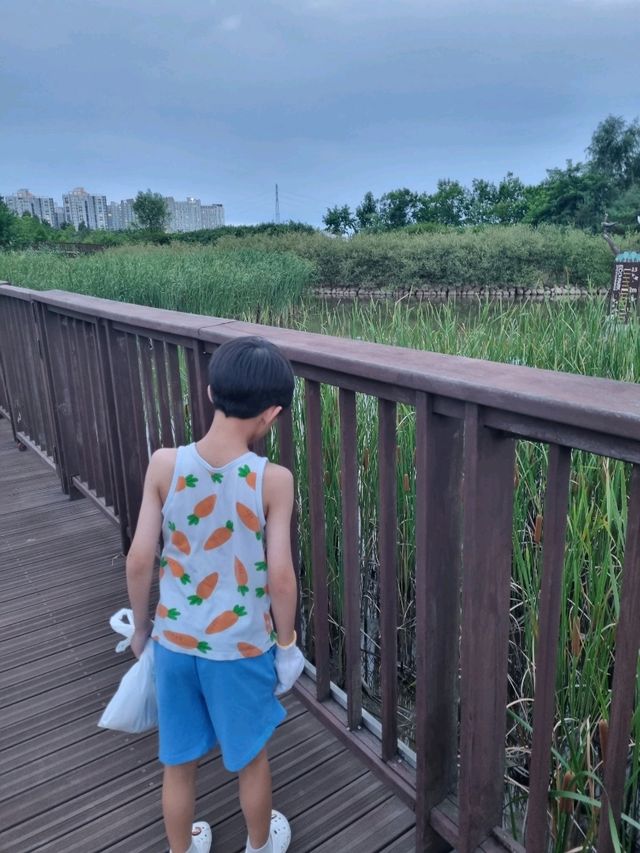 야생조류생태공원에서의 플로깅