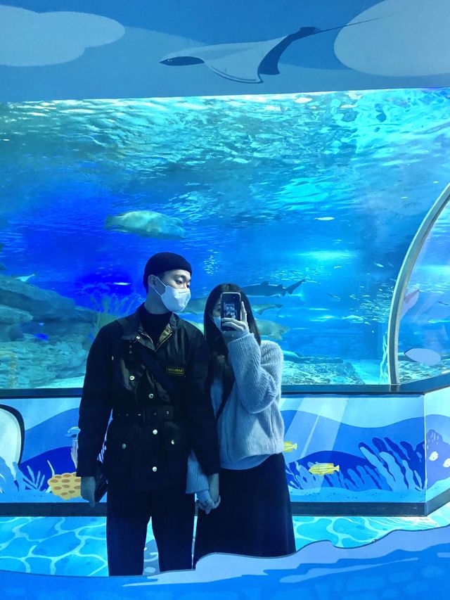 부산 데이트코스 아쿠아리움🐠🐟🦈💙