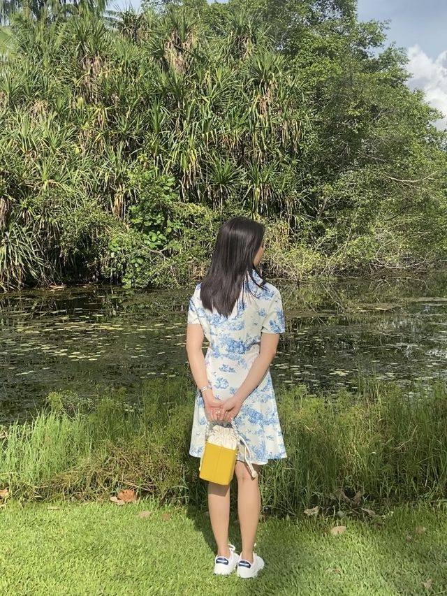 A Serene Time at Botanical Garden 😌