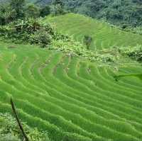 Putao village 🌳 🥰🛕