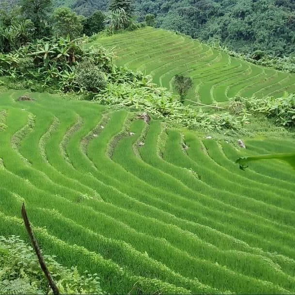 Putao village 🌳 🥰🛕