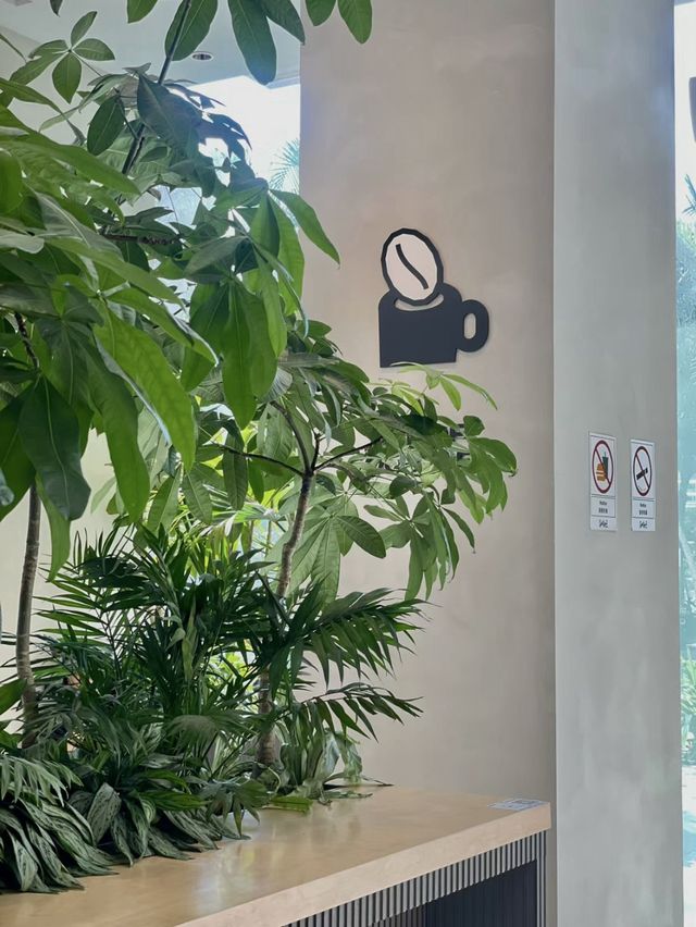【深圳】 SeeSaw Coffee🤎｜置身森林🌳中歎精品咖啡