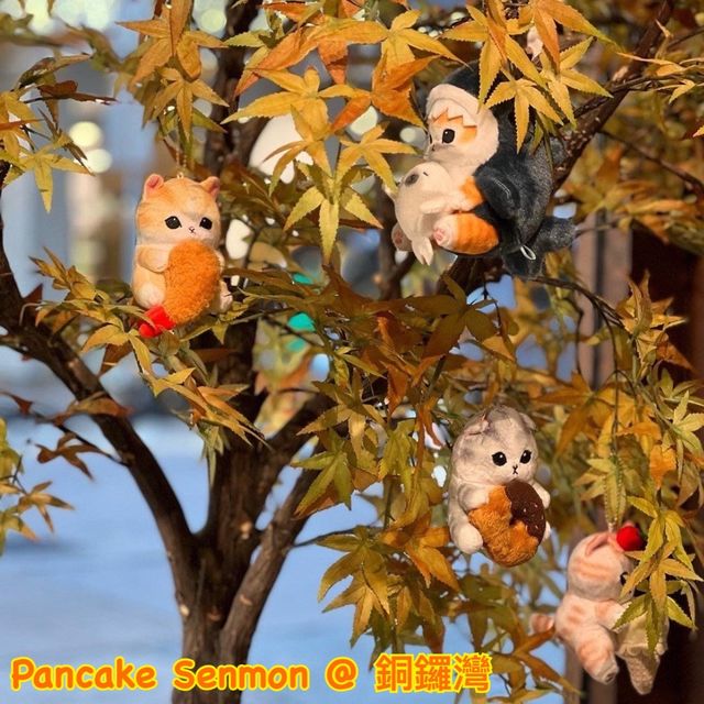 人氣貓貓樹打卡甜品店 😻@ Pancake Senmon