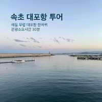 속초대표항구, 대포항! 보고 먹고 느끼고❤