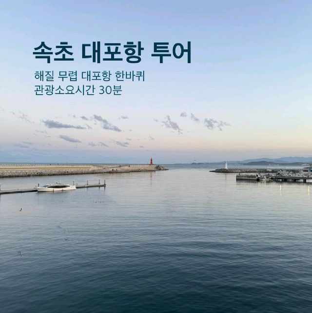 속초대표항구, 대포항! 보고 먹고 느끼고❤