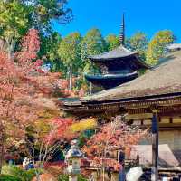 Joraku-ji: Zen Oasis Unveiled