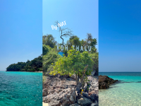 ทริปดำน้ำ แชร์บ๊วยทัวร์ #เกาะเสม็ด