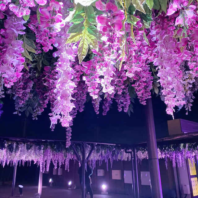 Tokyo Mega Illumination, Shinagawa Tokyo 🇯🇵