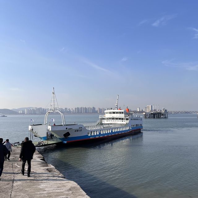 갈매기에게 새우깡 먹이 줄 수 있는 인천 영종도 배⛴️