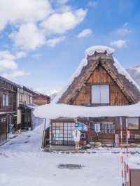 일본에 눈사람이 사는 마을이 있다는데?⛄️
