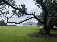 Auckland War Memorial Museum｜運動、腳踏車、野餐的好地方