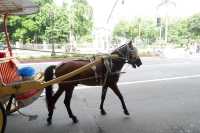 LUNETA PARK