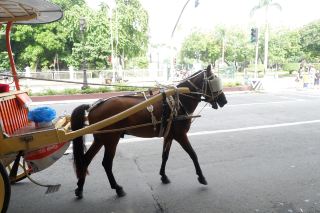 LUNETA PARK