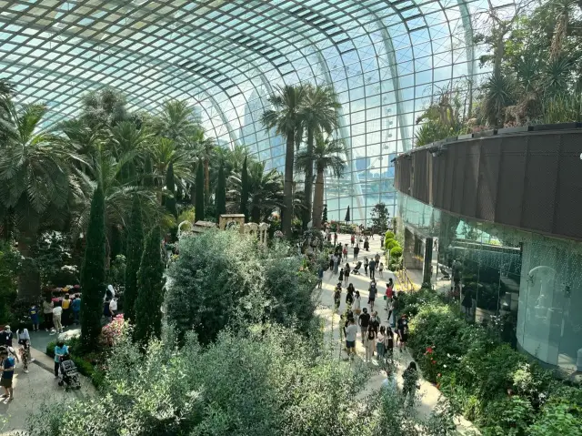 Flower dome and cloud dome Singapore 