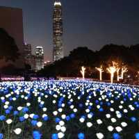 ✨LED夢幻玫瑰花海🌹添馬公園✨