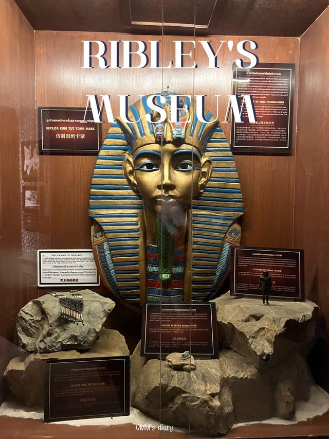 ชมพิพิธภัณฑ์สุดน่าทึ่ง ที่ Ribley’s museum ✨