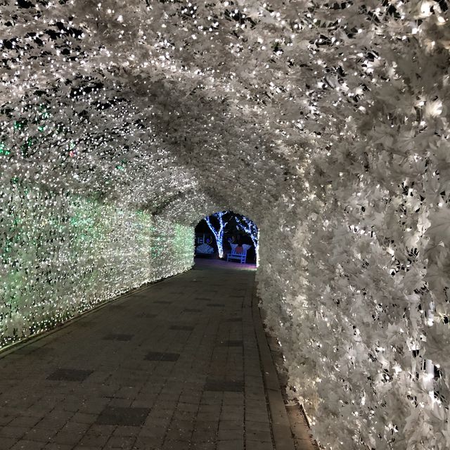 首爾浪漫露天星光燈飾節