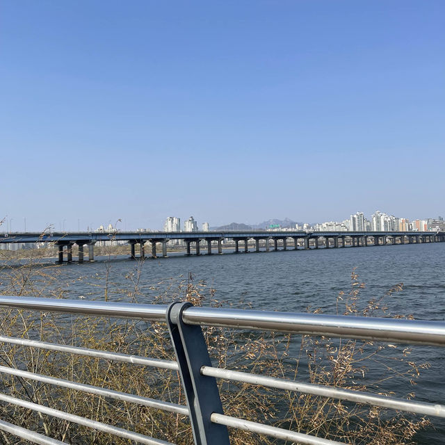 體驗韓國人悠閒生活-漢江野餐