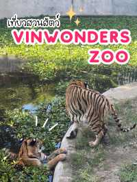 เที่ยวสวนสัตว์ VinWonders Zoo ที่ญาจาง 🐅🦓