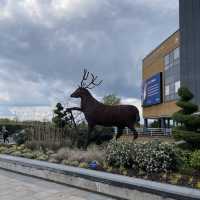 英國薩里大學🦌 University of Surrey
