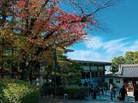 เที่ยวคนเดียว ใบไม้เปลี่ยนสี เกียวโต🍁🍁