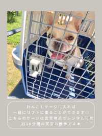 【長野】わんこと行ける絶景スポット🌿