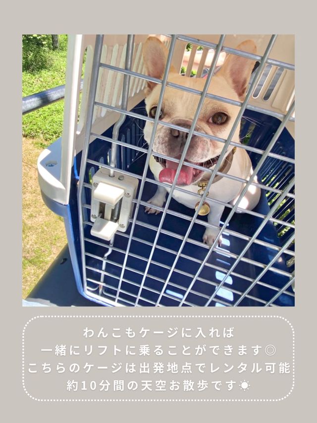 【長野】わんこと行ける絶景スポット🌿