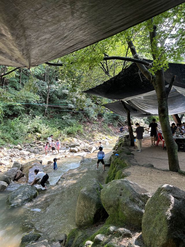 계곡에서 백숙 먹을 수 있는 삼천리골 돼지집