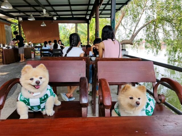 ที่พักอัมพวา น้องหมาพักได้ ตอนเช้ามีใส่บาตรริมน้ำ