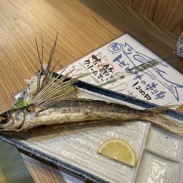 【鹿児島・屋久島】昼も夜も楽しめる絶品お魚料理✨