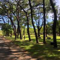 大㓓森林公園