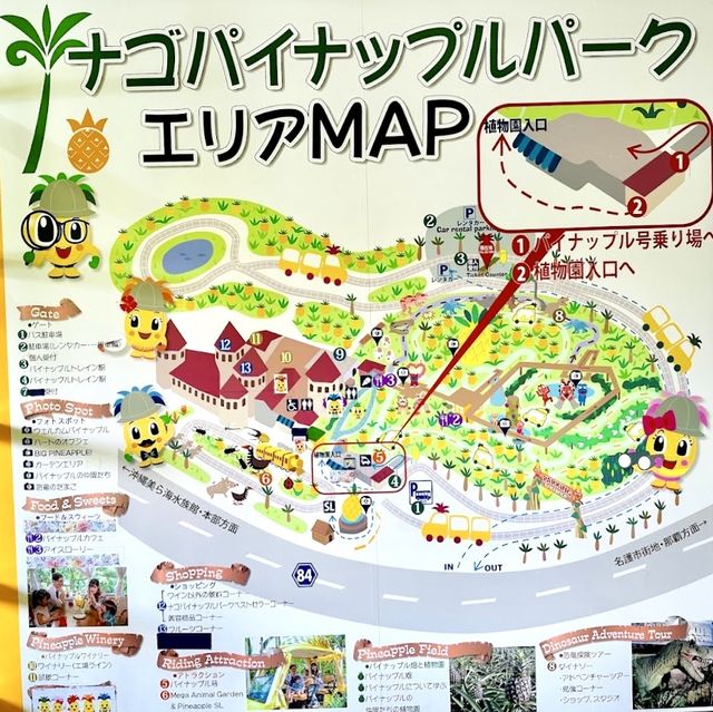 名護菠蘿園-沖繩名護以菠蘿做主角的主題公園