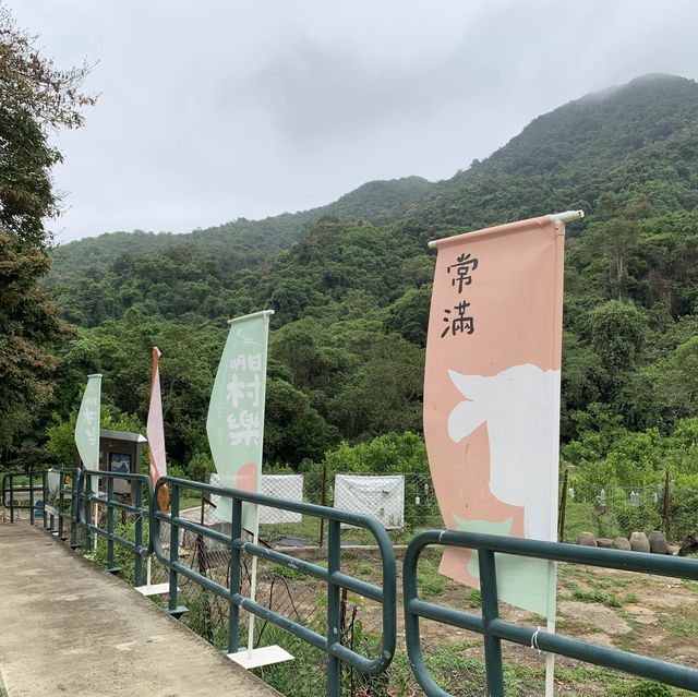 新界東北梅子林荔枝窩 睇壁畫嘆花花雪條🌸🌼