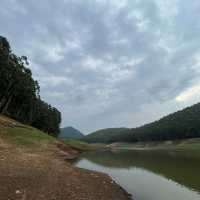 Forest which Echoes in Munnar 😳