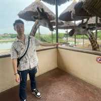 🇹🇭泰國曼谷| Safari World親子遊好去處