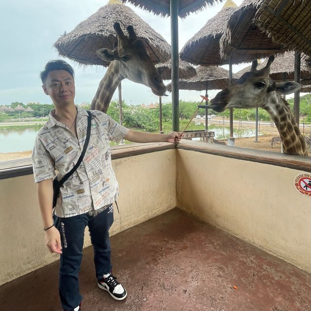 🇹🇭泰國曼谷| Safari World親子遊好去處