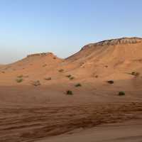 Dubai desert safari tour