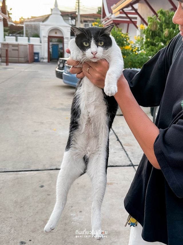 ไหว้พระทำบุญที่วัดราชนัดดา