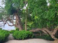 Navana Nature Escape 🌳💚