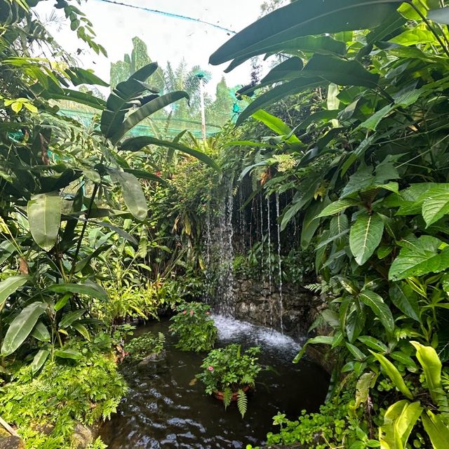 Kuala Lumpur Butterfly Park