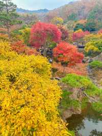 서울근교 가장 핫하다는 단풍명소 소개와 꿀팁🍁