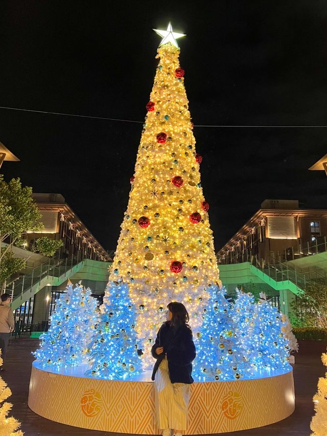 밤이되면 더욱 멋진 제주 신화월드 야경✨