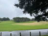 Auckland War Memorial Museum｜運動、腳踏車、野餐的好地方