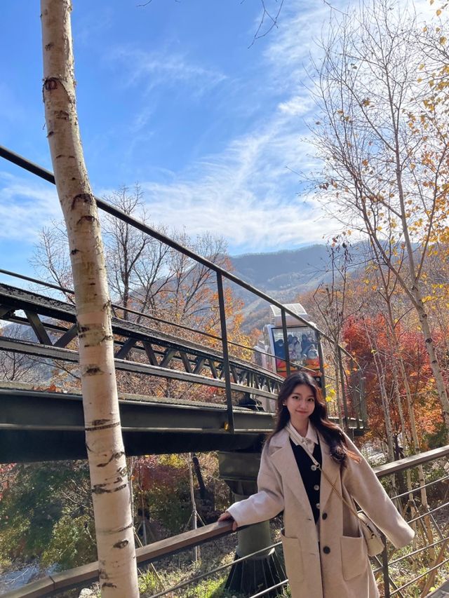 가을 단풍 명소 ‘화담숲’ 🍁🍁