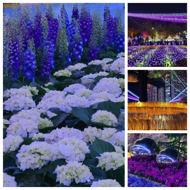目不暇給嘅花展🌺😍@維園