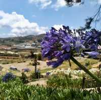 Sakura Park & Haight’s Place in Atok Benguet