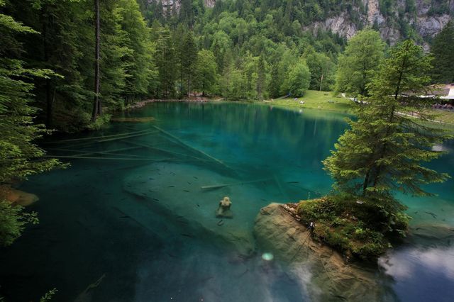 瑞士Blausee Natural Park (藍湖自然公園)
