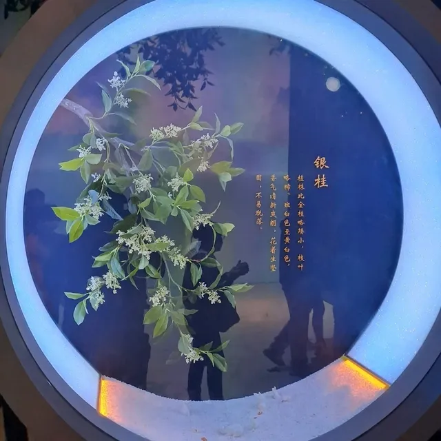 桂花公社的參觀的個人感受